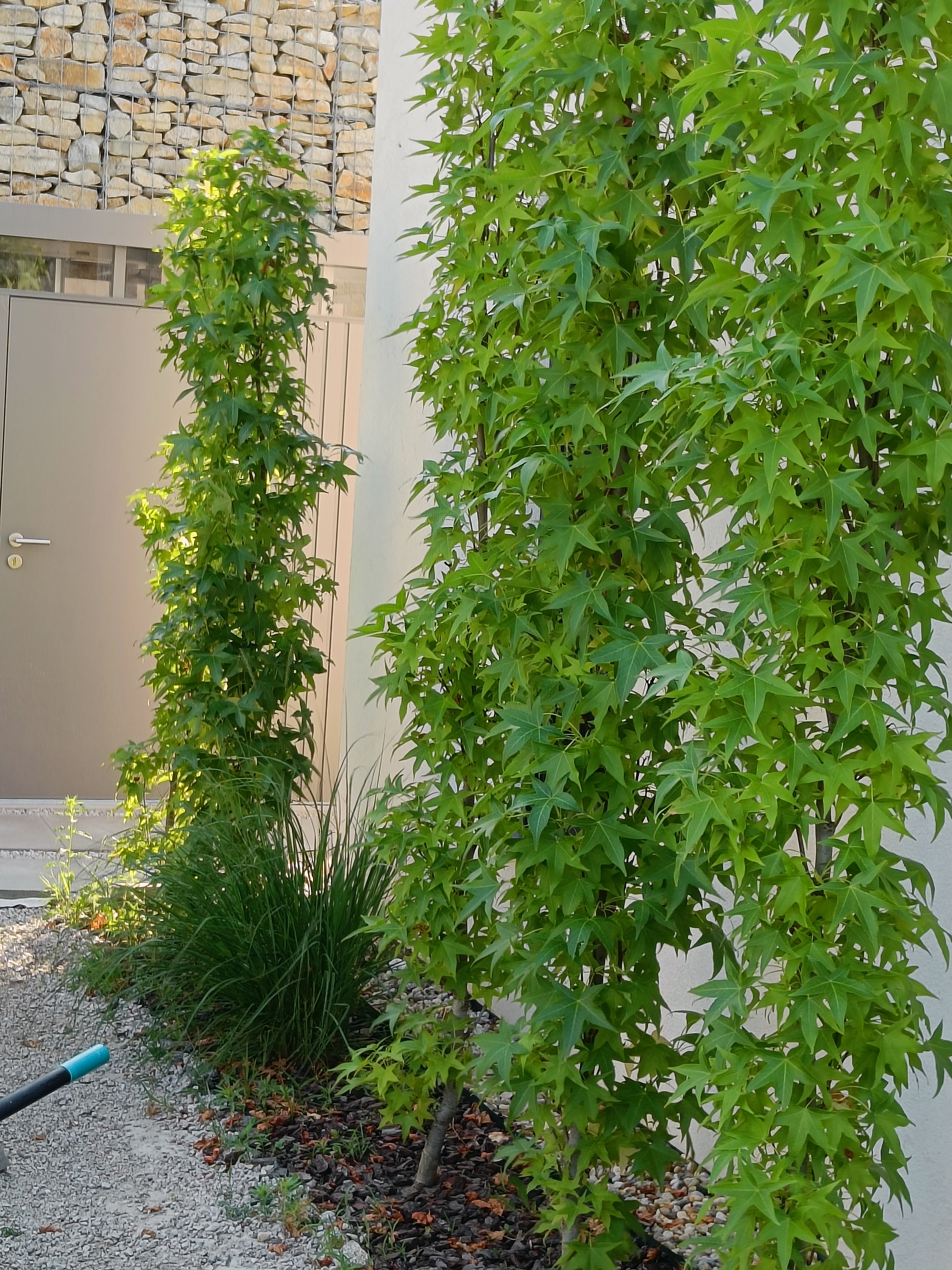 A - nejednoznačne určený, nie sme si istí