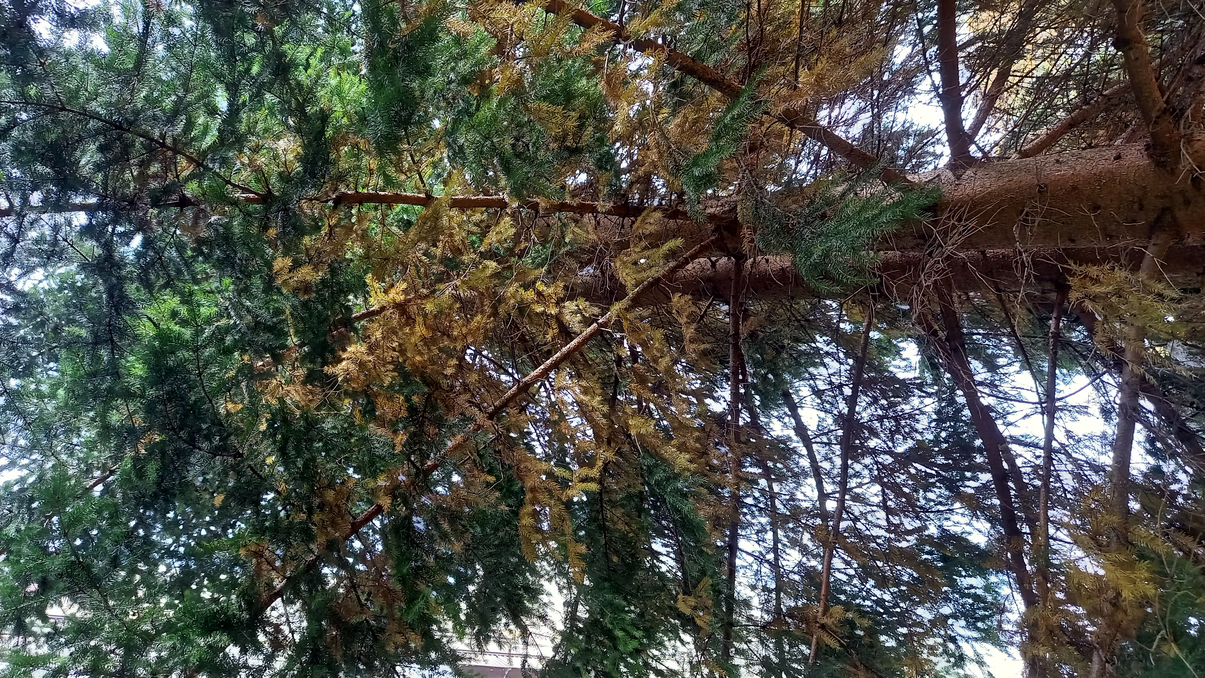 A - nie je v databáze