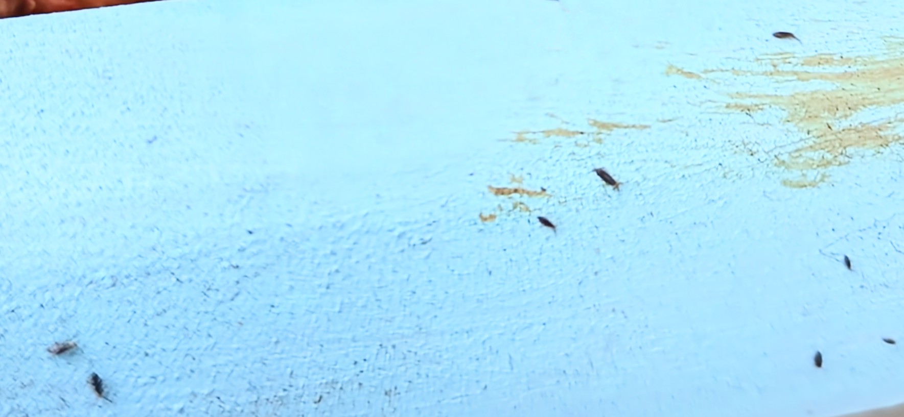 A - nejednoznačne určený, nie sme si istí