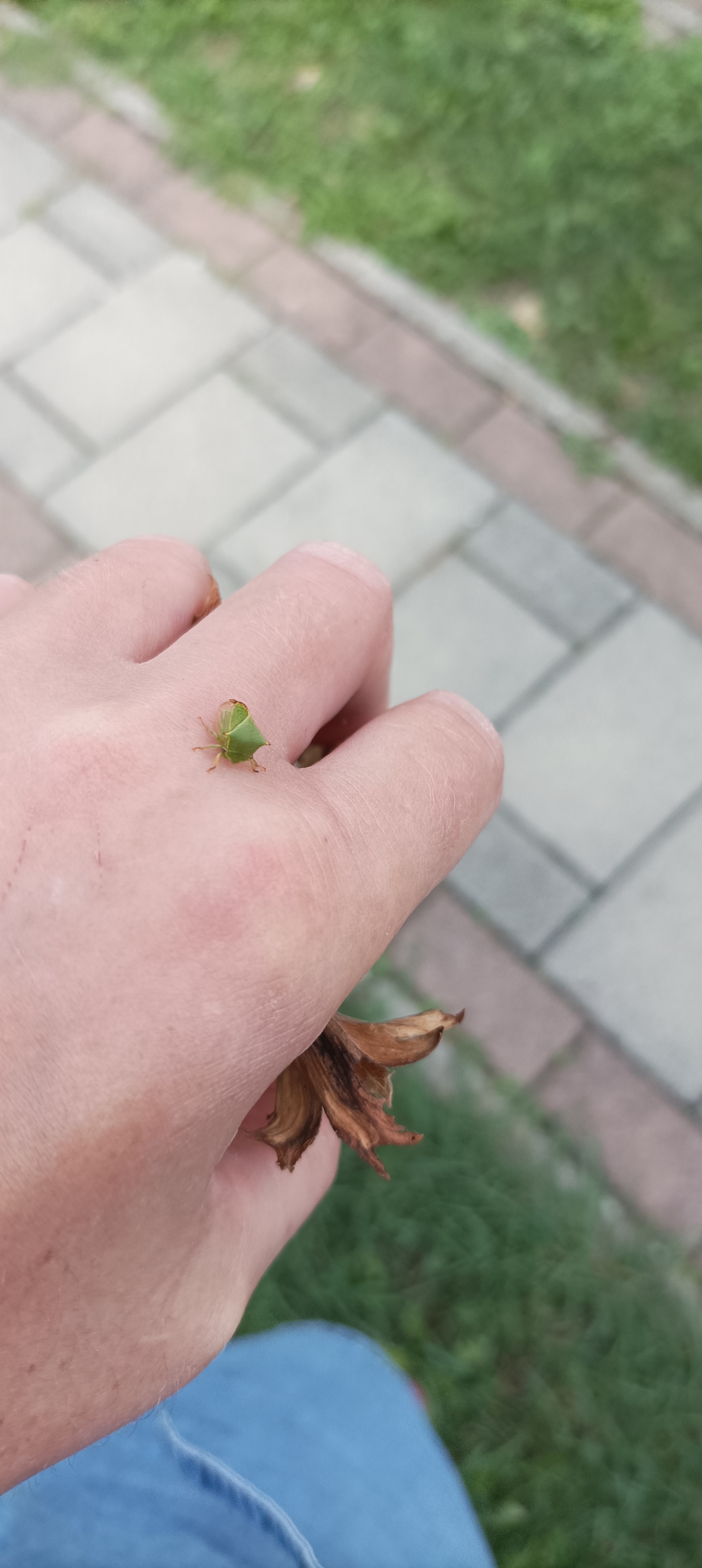 A - nie je v databáze