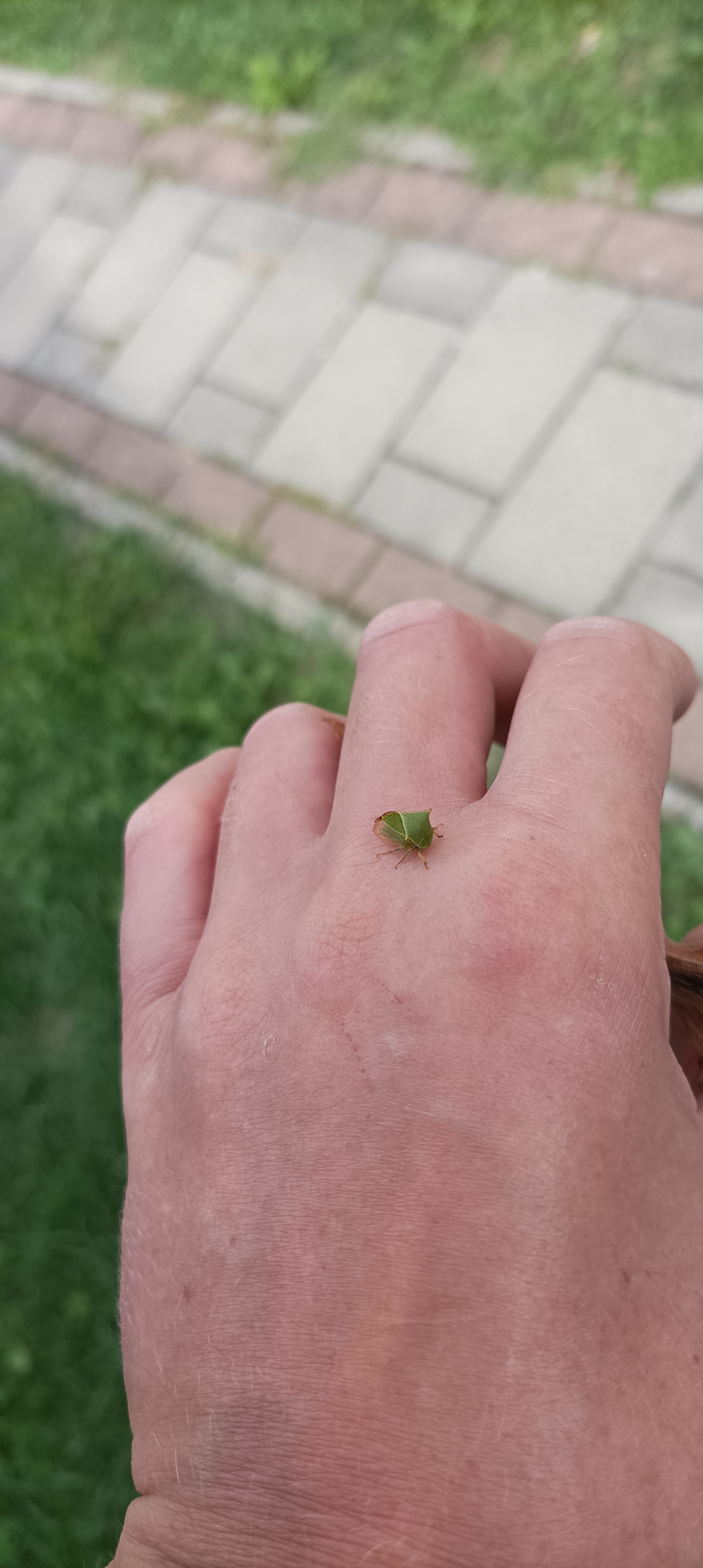 A - nie je v databáze