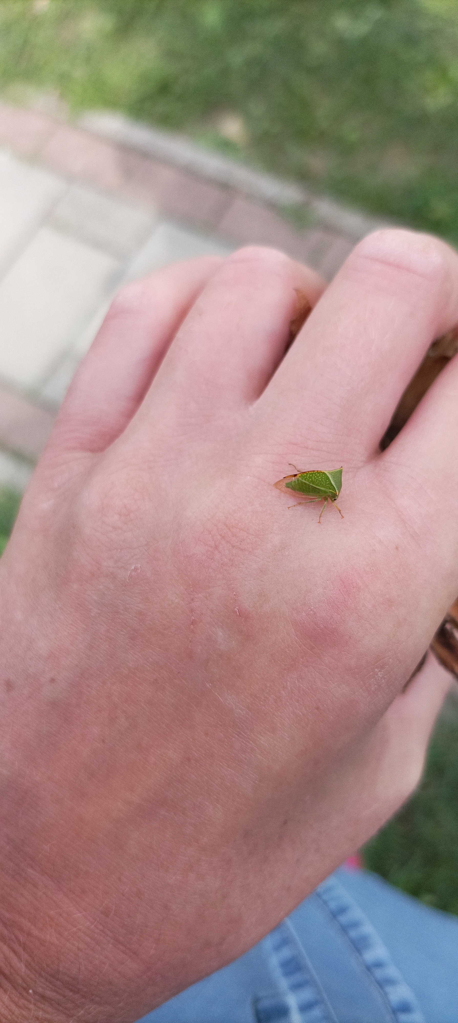 A - nie je v databáze