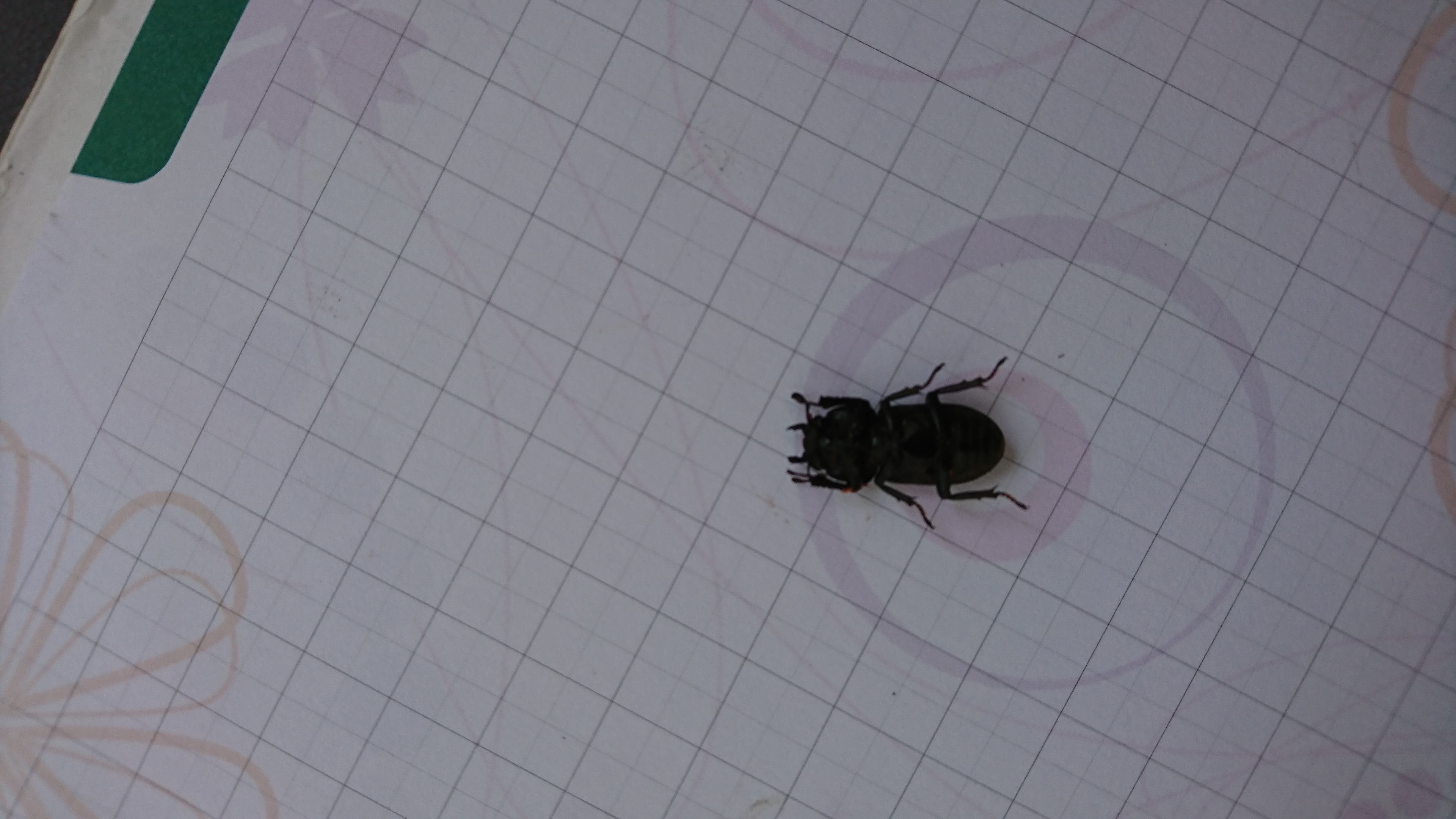 A - nie je v databáze