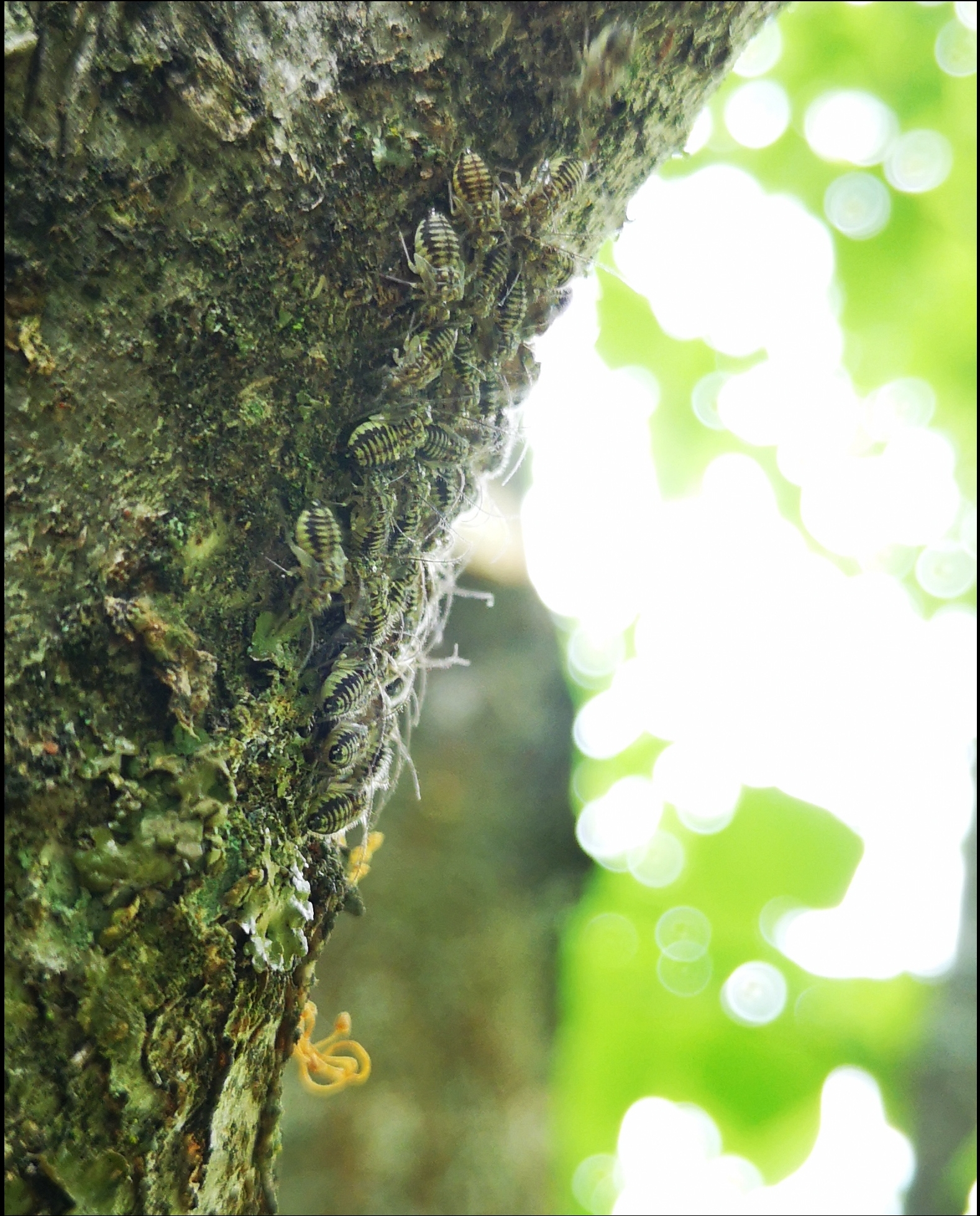 A - nie je v databáze