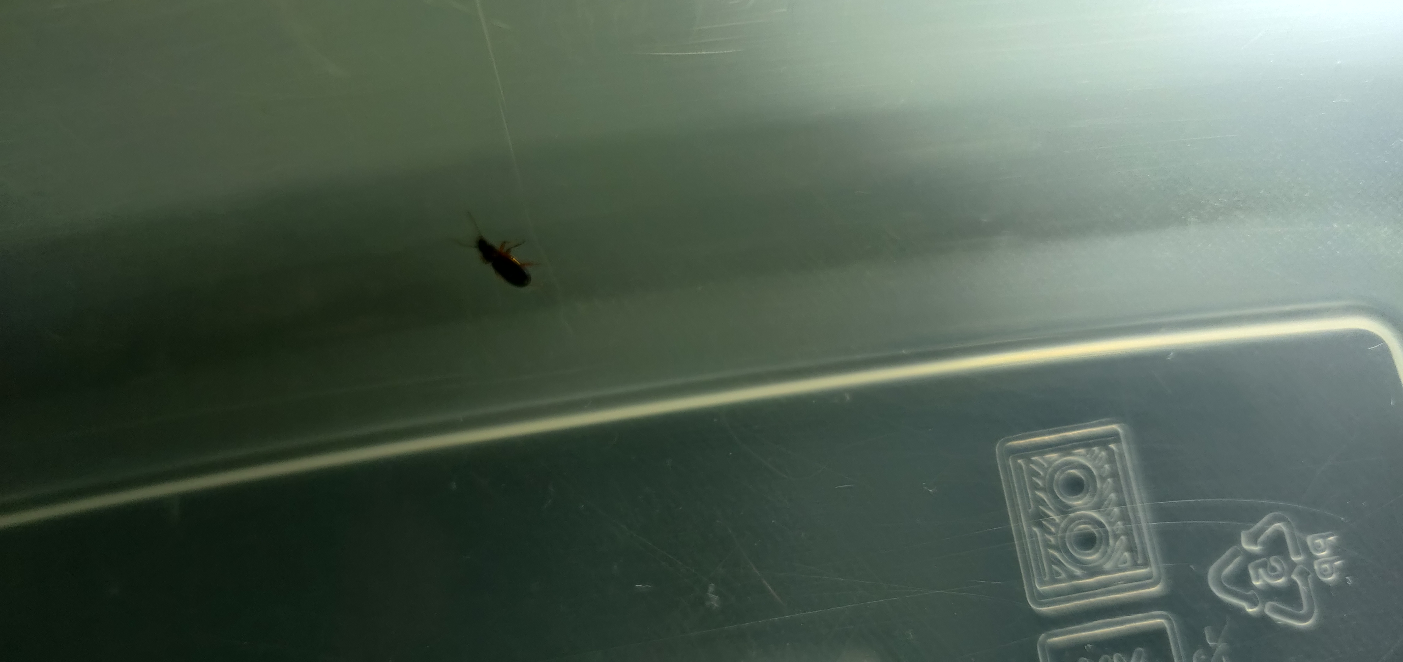 A - nie je v databáze