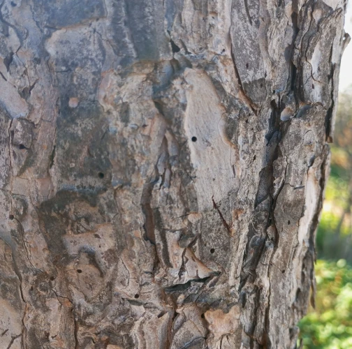 A - Ambiguously determined, we are not sure