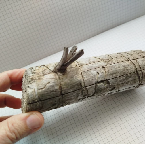 A - Ambiguously determined, we are not sure