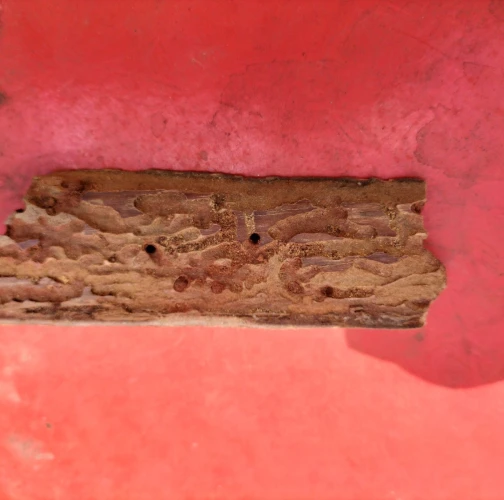 A - Ambiguously determined, we are not sure