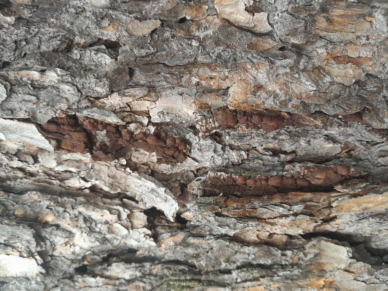 A - nejednoznačne určený, nie sme si istí