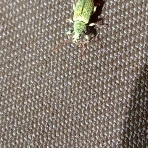 Martina Sucháňová 