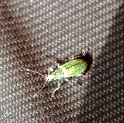 Martina Sucháňová 