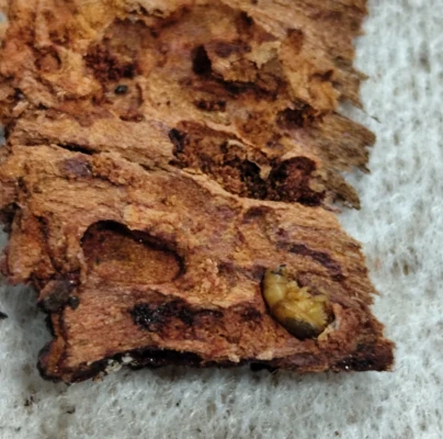 A - Ambiguously determined, we are not sure