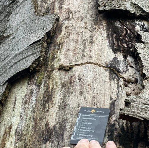 A - Ambiguously determined, we are not sure