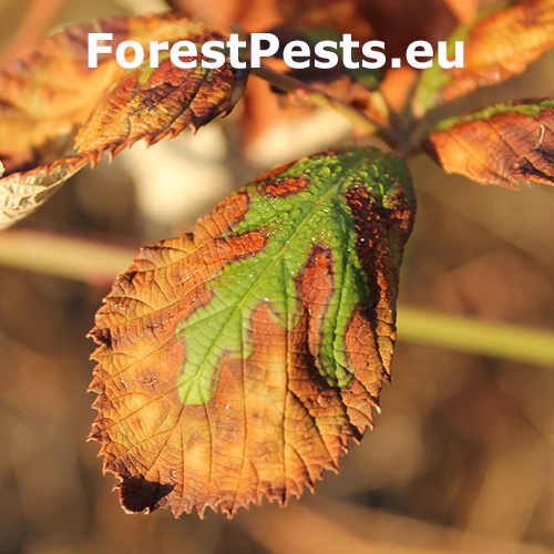 Teplo, sucho a &uacute;pal