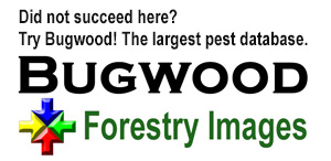forestryimages