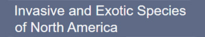 Invasive EN