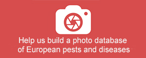 Photo database
