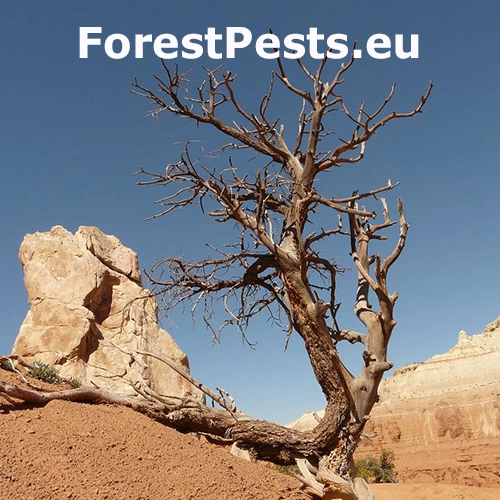 Teplo, sucho a &uacute;pal