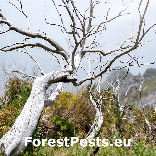 Teplo, sucho a &uacute;pal